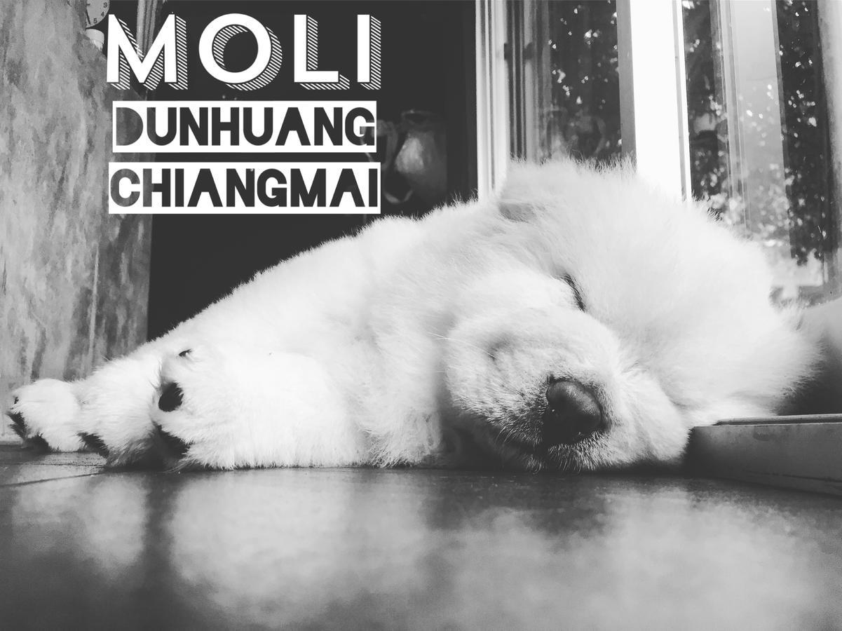 Chiangmai Moli Inn (Adults Only) Čiang Mai Exteriér fotografie