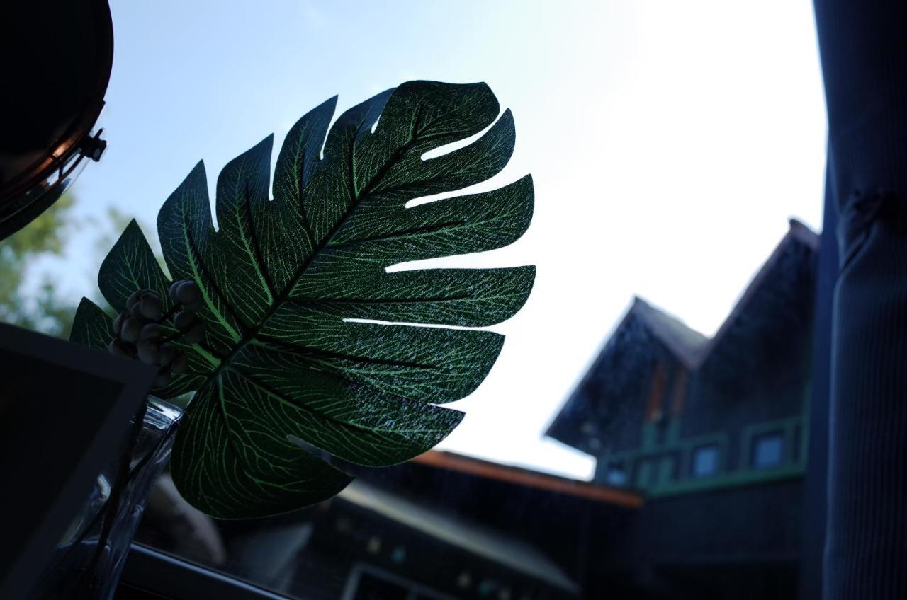 Chiangmai Moli Inn (Adults Only) Čiang Mai Exteriér fotografie